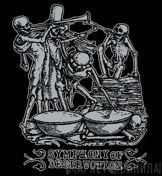 Symphony Of Destruction - Винил CD и Кассеты лейбла Symphony Of Destruction на сайте МаркетВинила