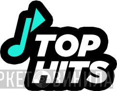 Top Hits  - Винил CD и Кассеты лейбла Top Hits (2) на сайте МаркетВинила