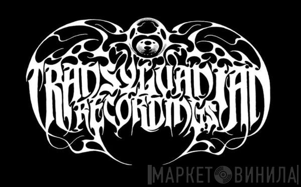 Transylvanian Recordings - Винил CD и Кассеты лейбла Transylvanian Recordings на сайте МаркетВинила