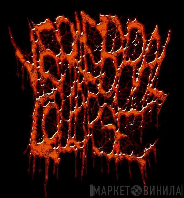 Vertebral Collapse Records - Винил CD и Кассеты лейбла Vertebral Collapse Records на сайте МаркетВинила