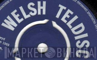 Welsh Teldisc - Винил CD и Кассеты лейбла Welsh Teldisc на сайте МаркетВинила